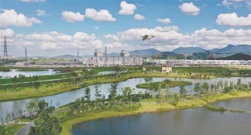 东莞市生态环境局：有信心有能力打赢污染防治
